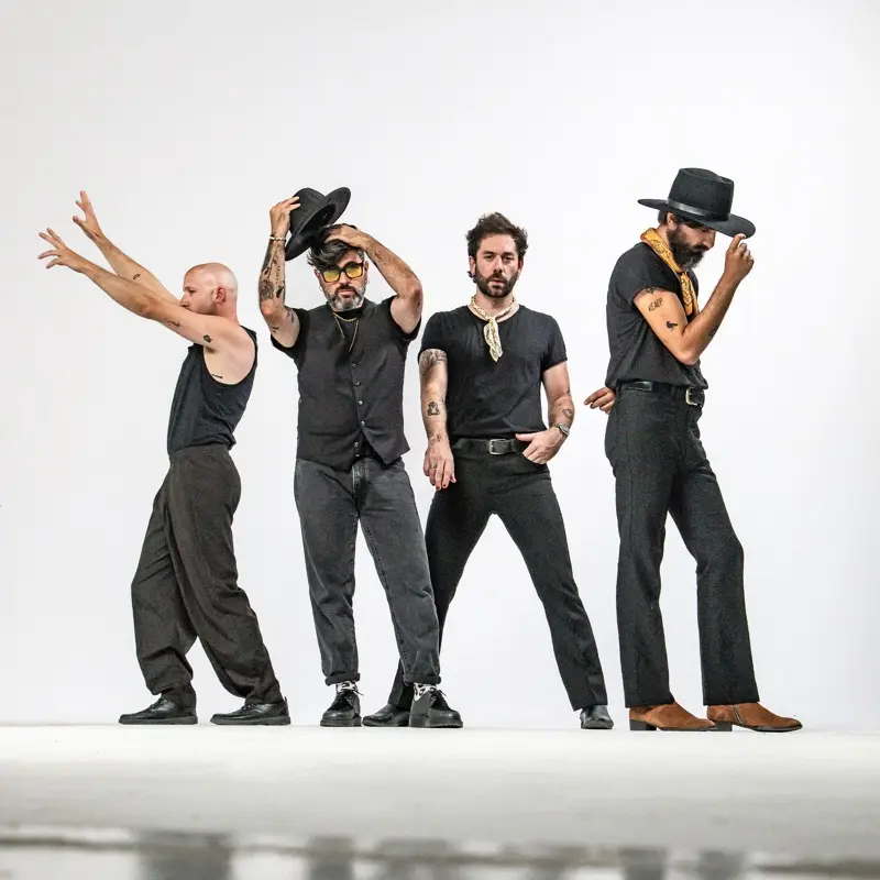 imagen del concierto de Viva Suecia Concert en valència