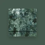 imagen del concierto de Voices from The Lake Concert en barcelona