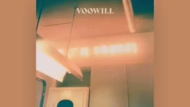 imagen del concierto de Voowill Concert en madrid