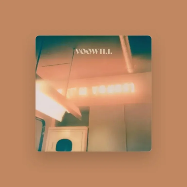 imagen del concierto de Voowill Concert en madrid