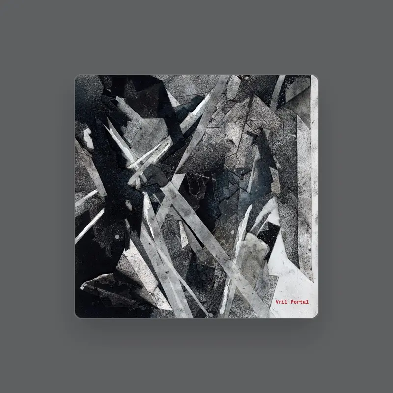 imagen del concierto de VRIL en barcelona