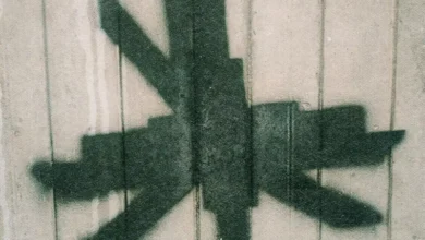 imagen del concierto de VVV [Trippin'you] en barcelona