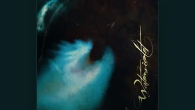 imagen de Waterviolet en directo