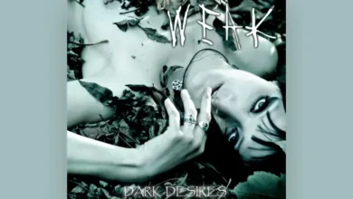 imagen del concierto de Weak Concert en madrid