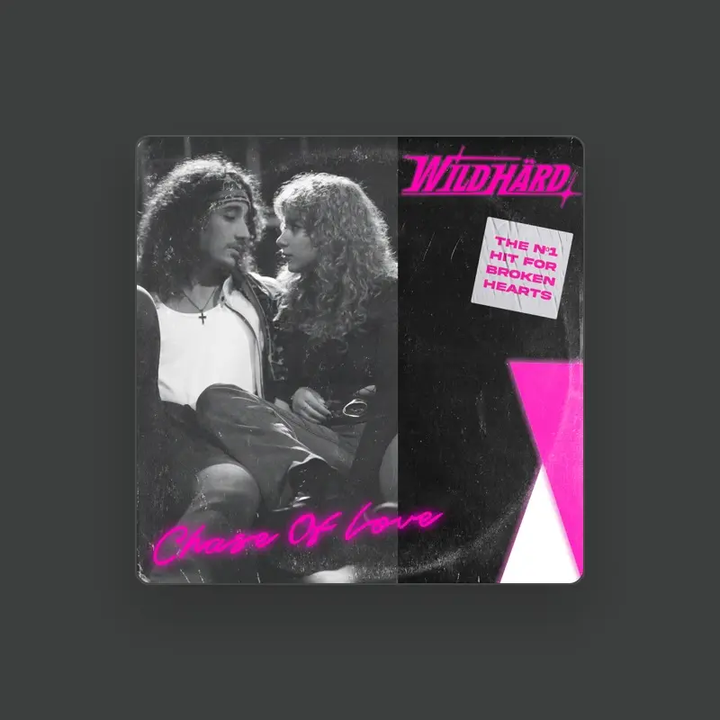 imagen del concierto de WildHärd Concert en platja de gandia