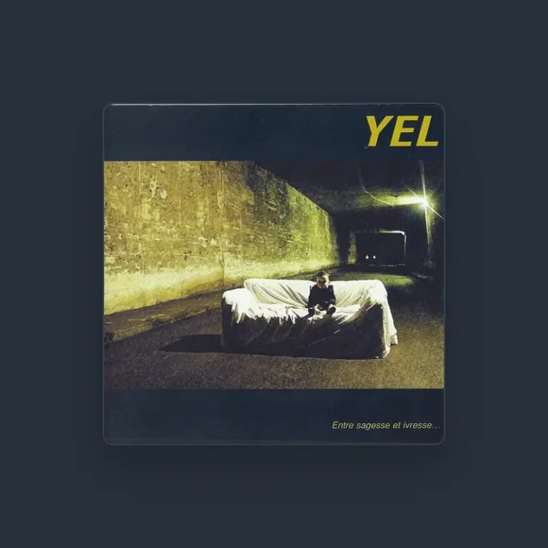imagen del concierto de Yel Concert en león