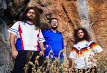 MLAD Mientras las abejas duermen