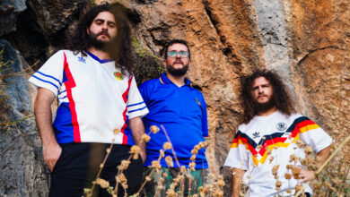 MLAD Mientras las abejas duermen