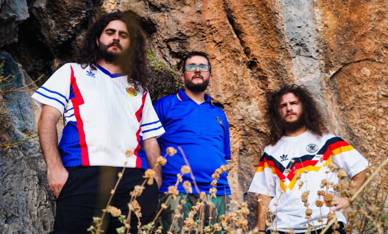 MLAD Mientras las abejas duermen