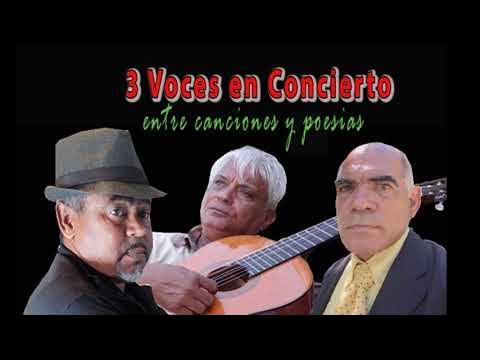 3 Voces