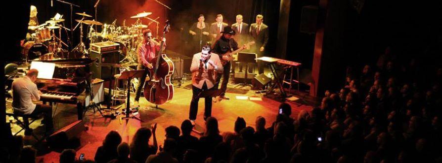 Elvis Tribute Band (Augie Burr)