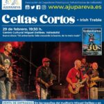 Cartel y entradas de Irish Treble: Viaje Celta en Auditorio Miguel Delibes (Valladolid) (Valladolid) - Qconciertos