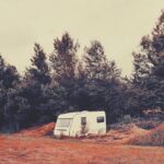 Cartel y entradas de Izaki Gardenak en Auriense (Ourense) en Auriense (Ourense) - Qconciertos