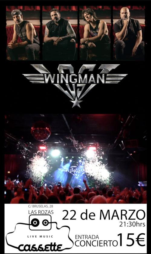 Lost Wingman