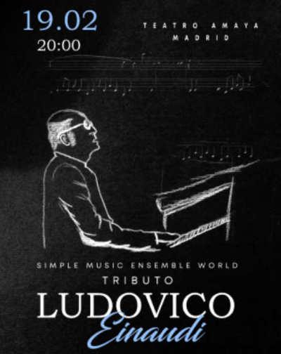 Ludovico Einaudi Tribute Soloist