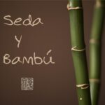 Cartel y entradas de Seda & Bambú – Música tradicional china ‘Volando la cometa’ en Sala exposiciones antigua escuela de magisterio jaén (Jaén) - Qconciertos