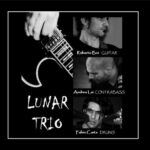 Cartel y entradas de XIX Ciclo de Música de Cámara: Trío Lunar en Auditorio del Museo Picasso (Málaga) (Málaga) - Qconciertos