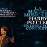 Cartel y entradas de The Magical Music of Harry Potter en Palacio de Congresos (Badajoz) (Badajoz) - Qconciertos