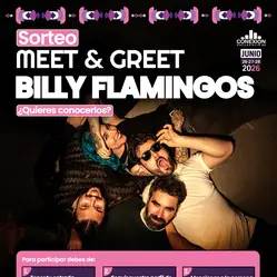 Billy Flamingos en Antigua Hípica – Pinar de Antequera (Valladolid) (Valladolid)