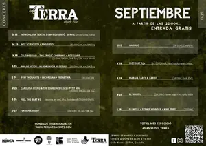 Not Scientists en Castellón: Melodías Afiladas, Nervio Punk Rock e Intensidad en Pub Terra