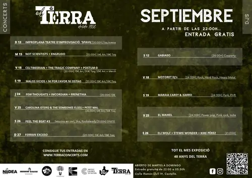 Not Scientists en Castellón: Melodías Afiladas, Nervio Punk Rock e Intensidad en Pub Terra