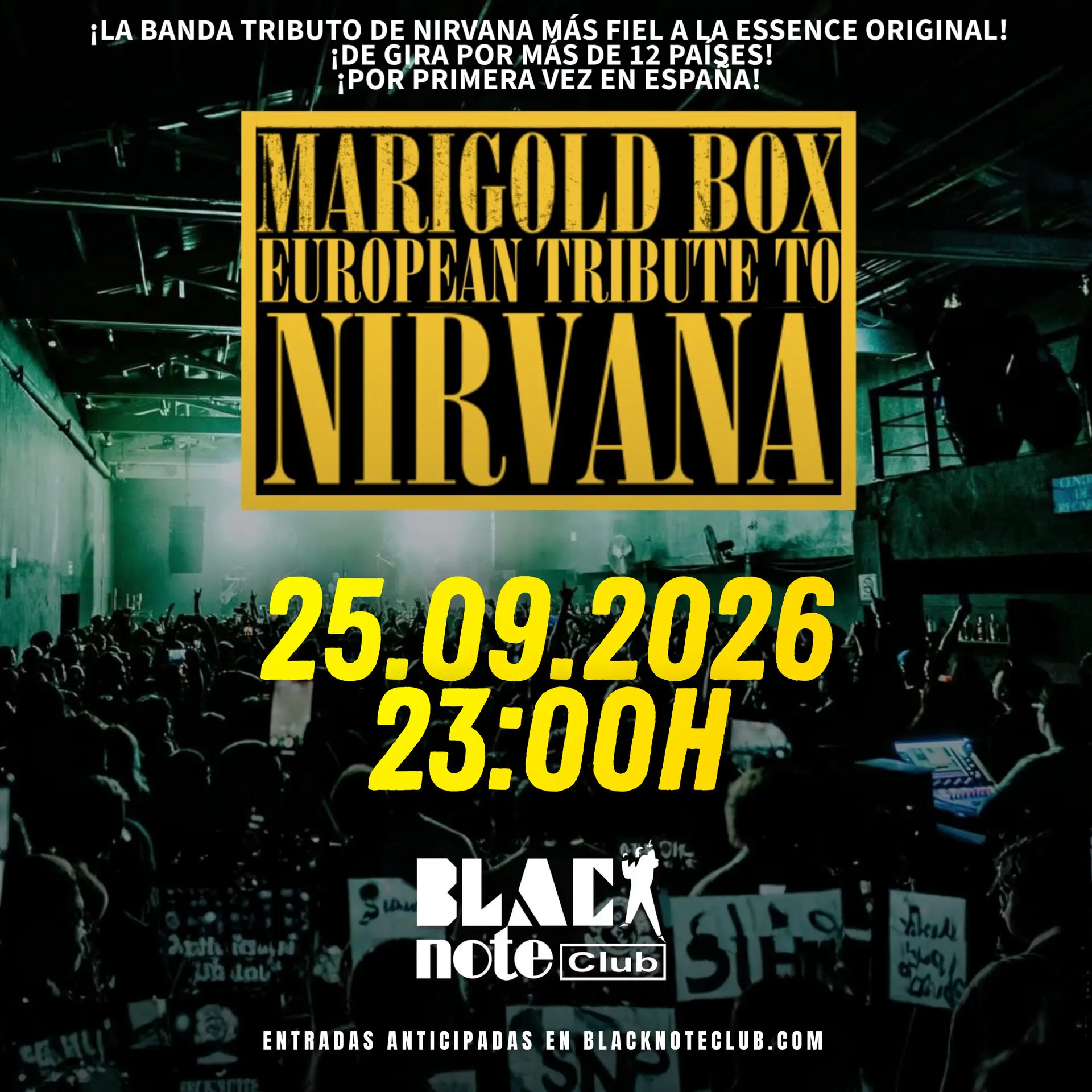 Cartel Marigold Box Tributo a Nirvana Black Note Club Valencia